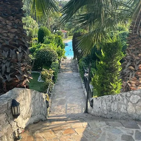 Garden In Istanbul