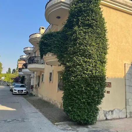 Garden In Istanbul