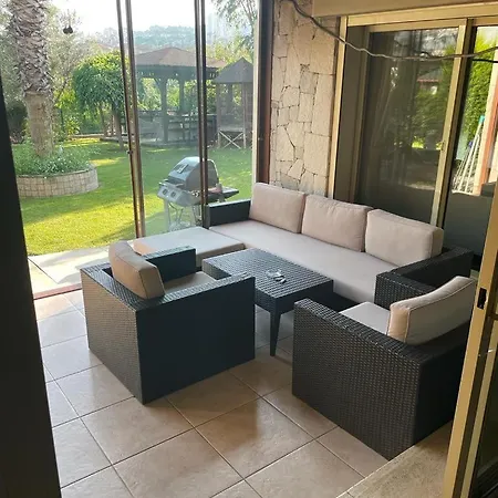 Garden In