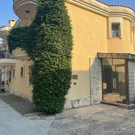 Garden In Hotel