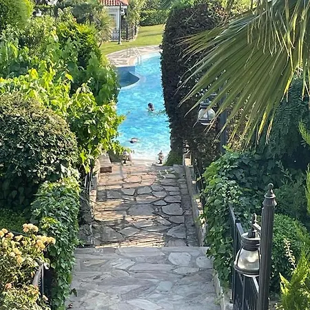 Garden In